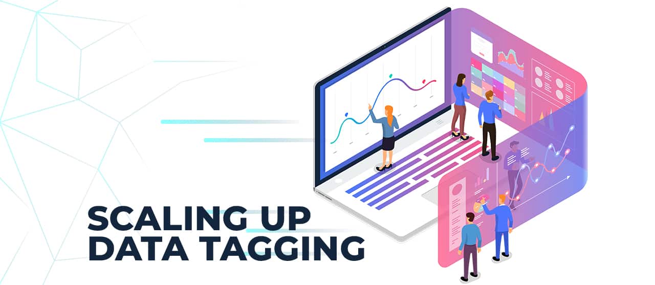 Scaling Up Data Tagging Inner (1)