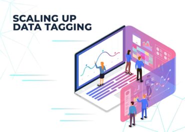 Scaling Up Data Tagging Inner (1)