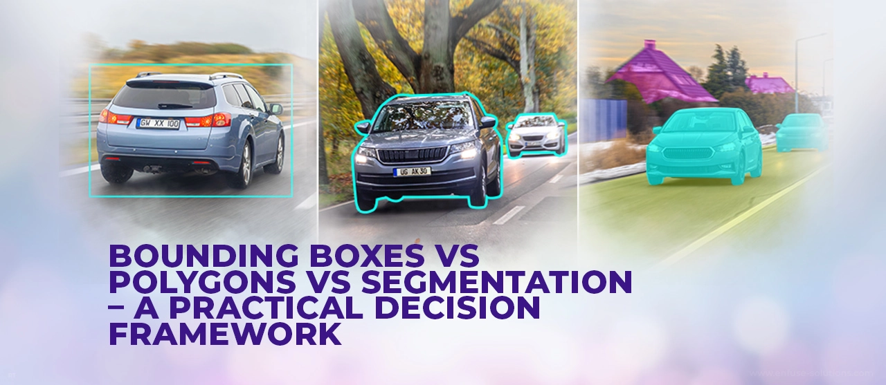 Bounding Boxes Vs Polygons Vs Segmentation Framework With Tagi5 – EnFuse Solutions