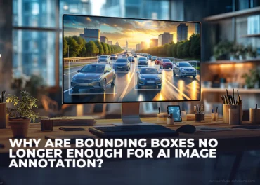 Advanced Image Annotation Beyond Bounding Boxes For Enterprise AI – EnFuse Solutions