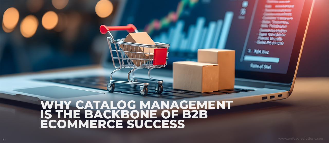 B2B Catalog Management For Better Product Discovery - EnFuse Solutions